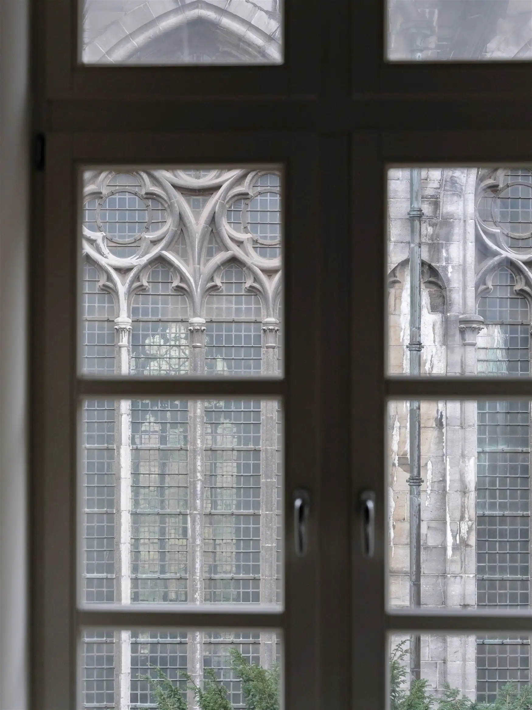 Rust en ruimte in het centrum

 foto 8