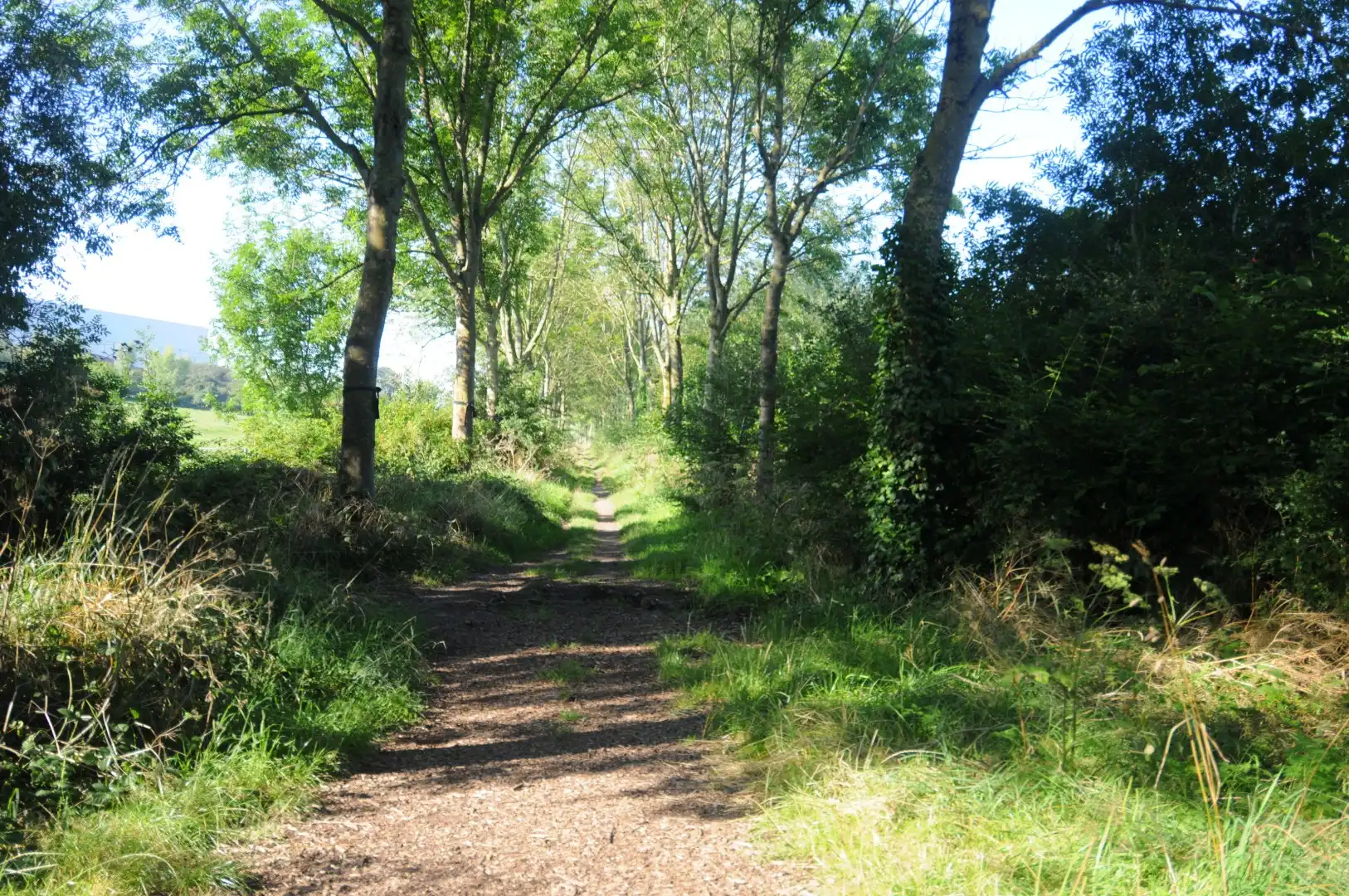 Op te frissen rijwoning met tuin, garage en 2 slaapkamers te Marke foto 17