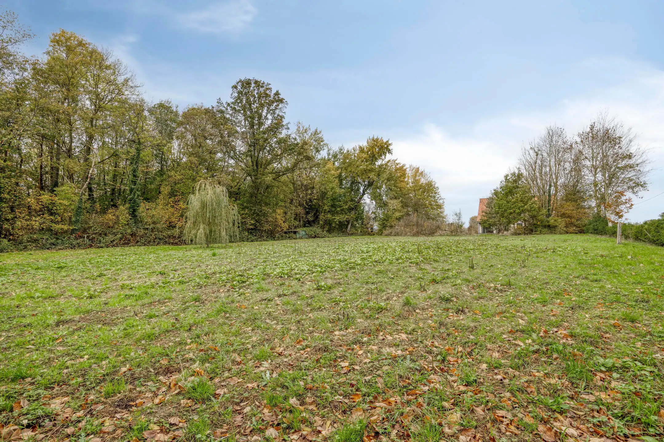 🏡 Nieuwbouwwoning met 4 gevels te koop foto 24