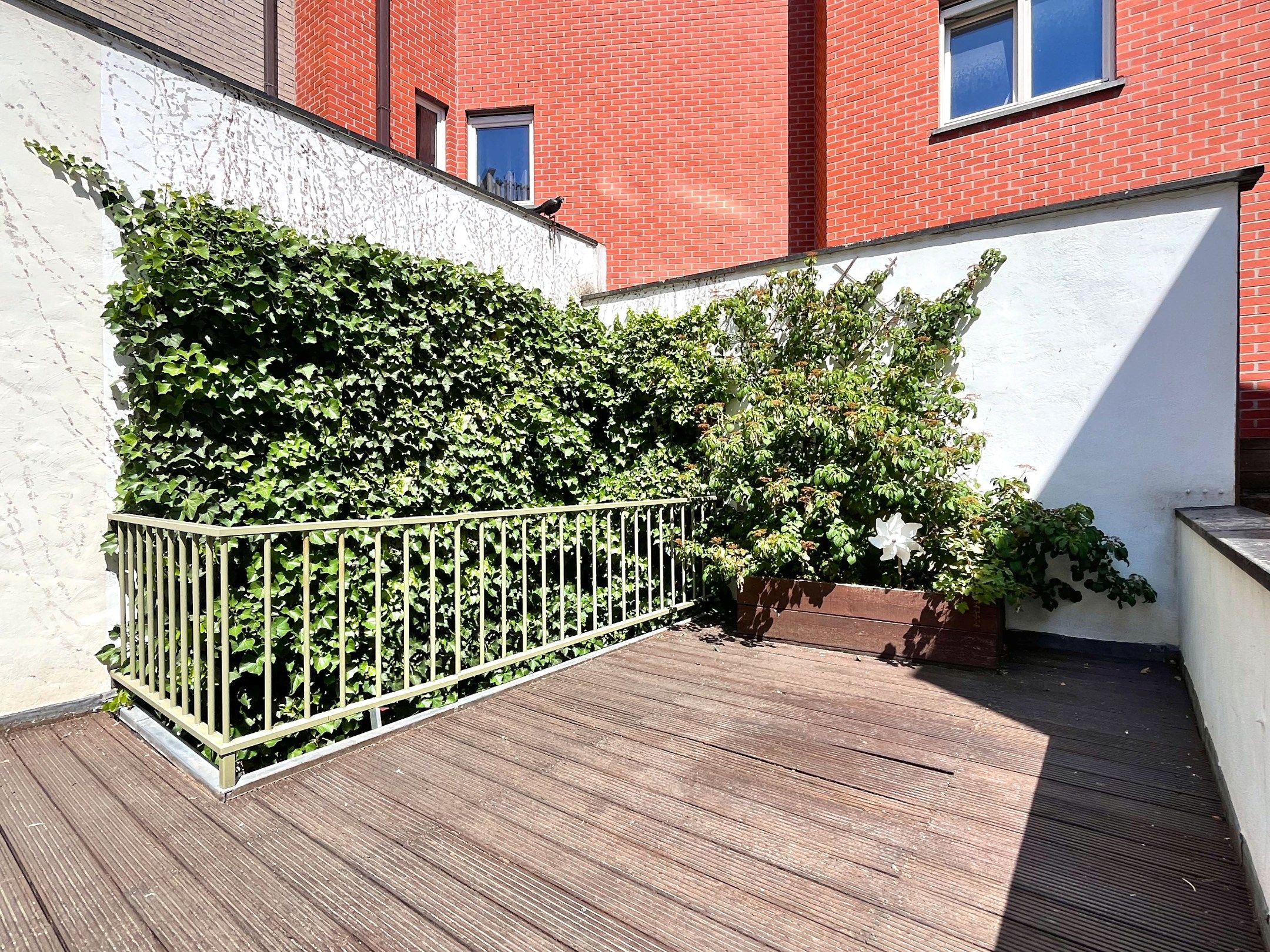 Vernieuwd appartement met terras te Heist-aan-Zee foto 2