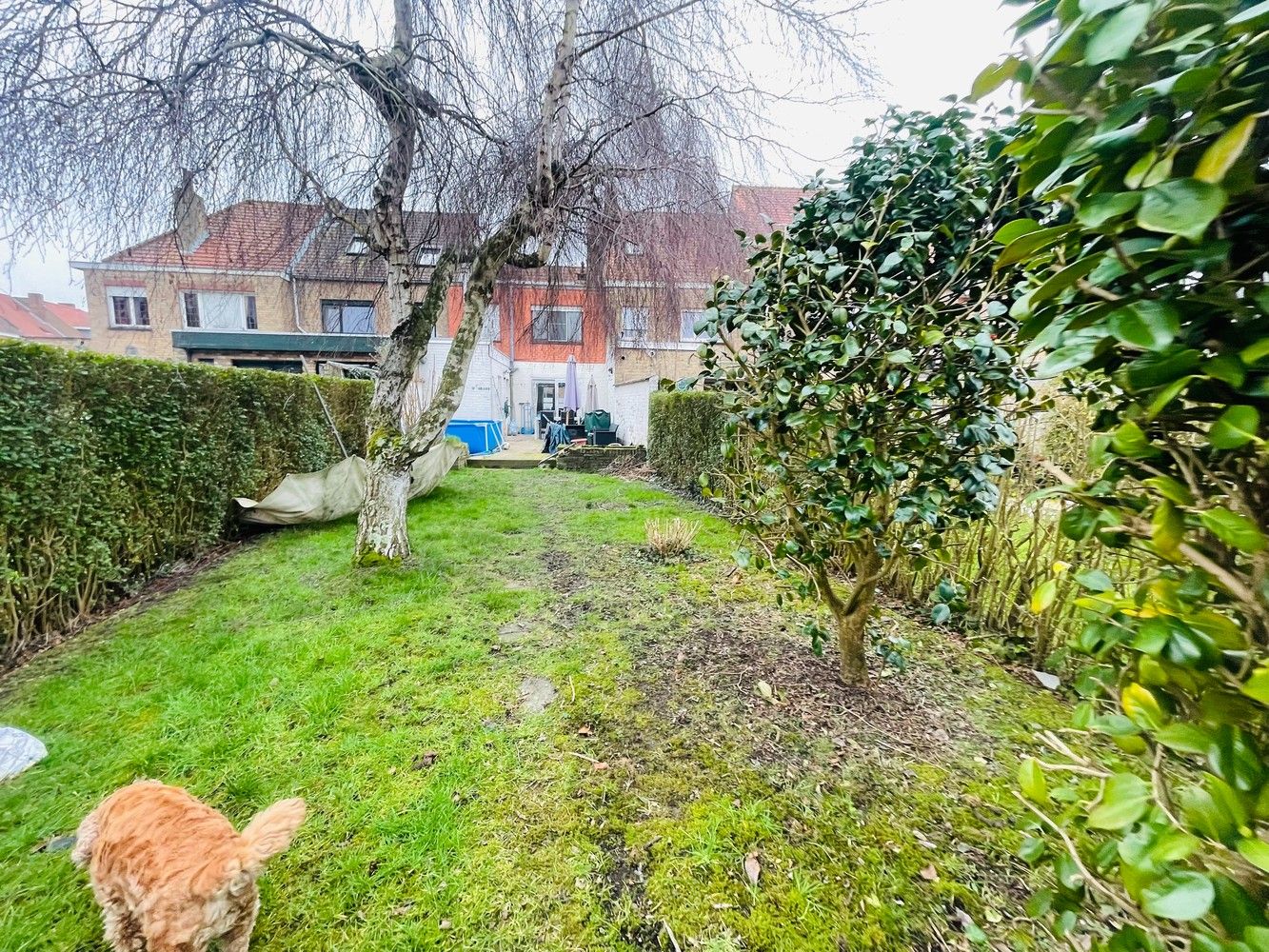 Vooraan Sint-Pieters, supergoede ligging vlakbij  Scheepdalebrug, Energiezuinig gezellig woonhuis met grote tuin en GARAGE van circa 60 m²! foto 21