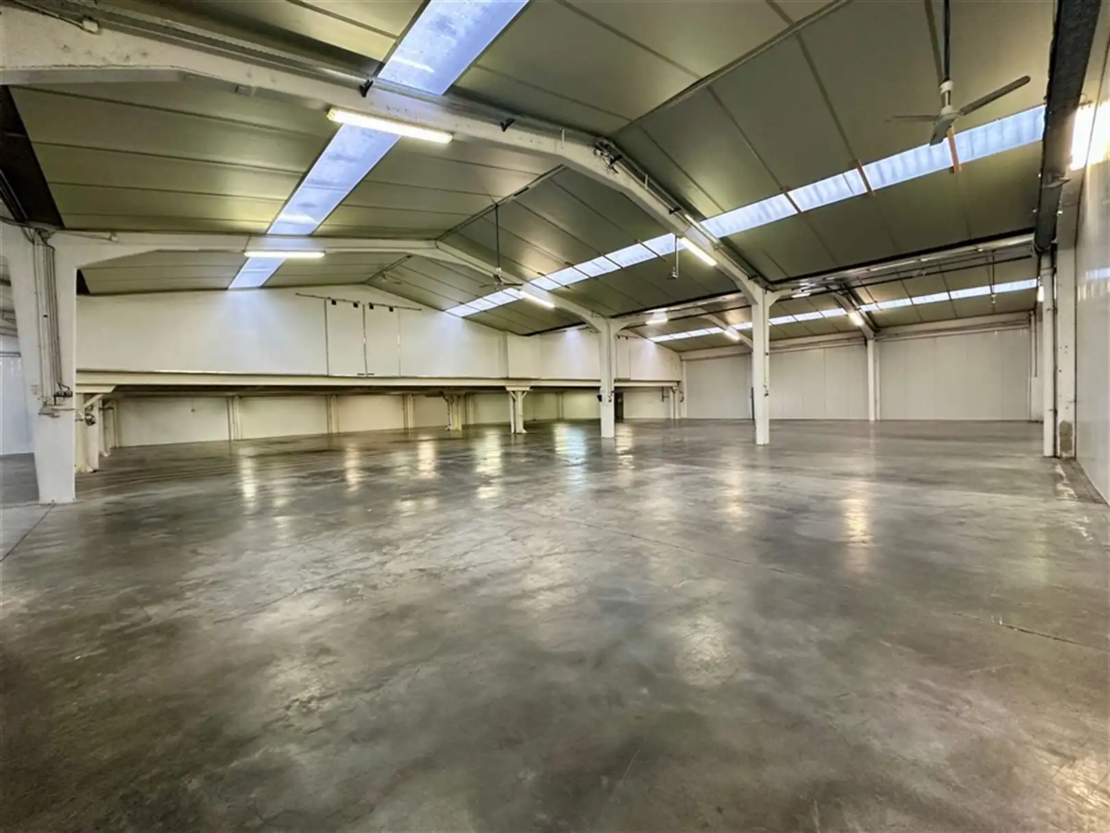 Magazijnen te huur op toplocatie in Kuurne foto 10