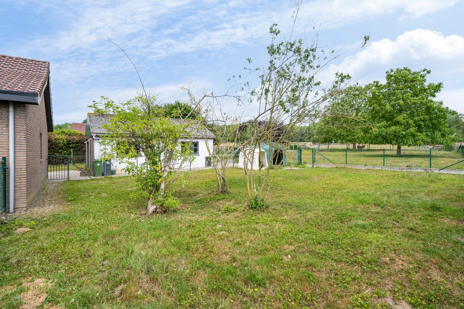 Rustig gelegen bungalow met bijhorende weide, stal en garage foto 24