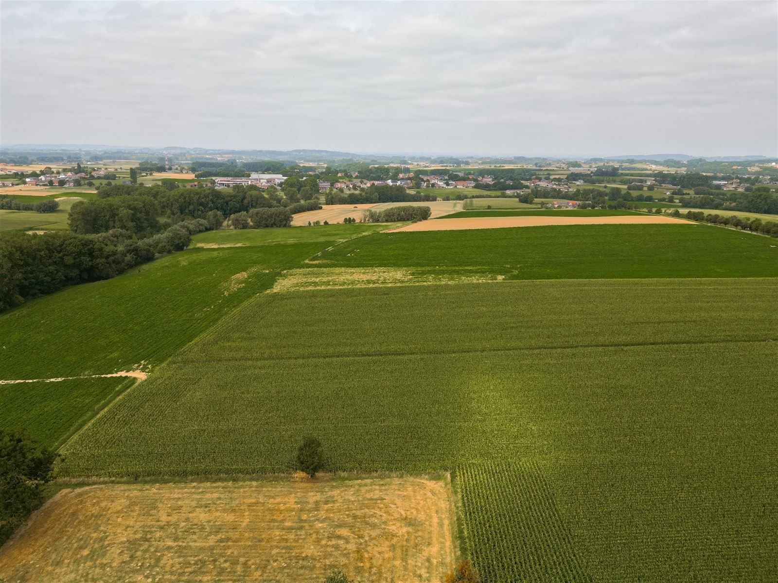 Woning met schuur en weide op 76are70 foto 24