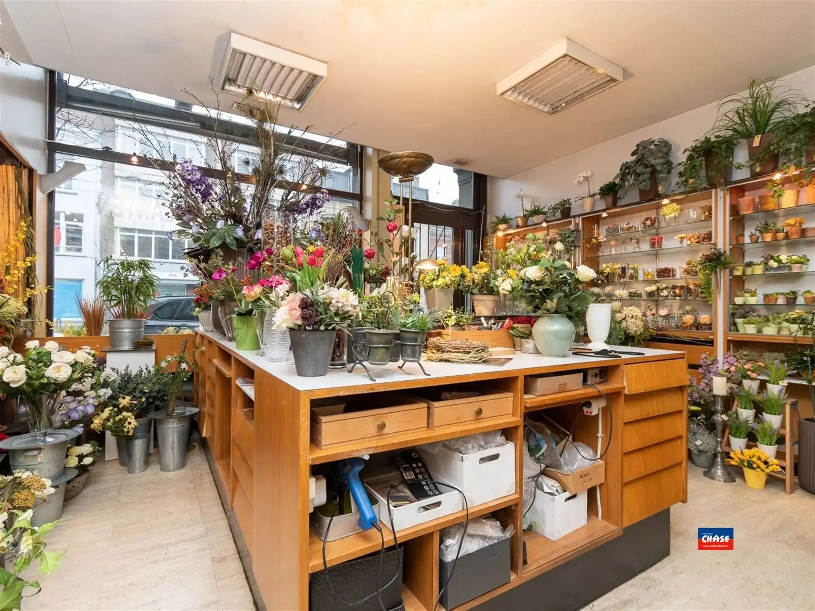 Handelshuis met 7 slaapkamers en tuin foto 10