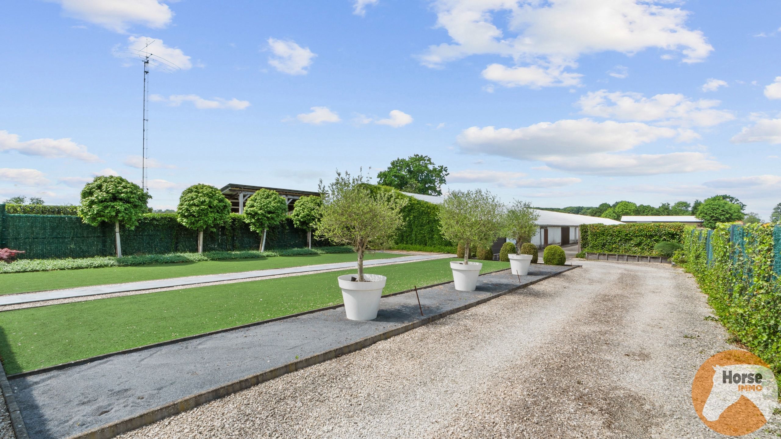 SCHAFFEN - Houtmassiefbouw met opslagruimtes op +/-1ha45a foto 3