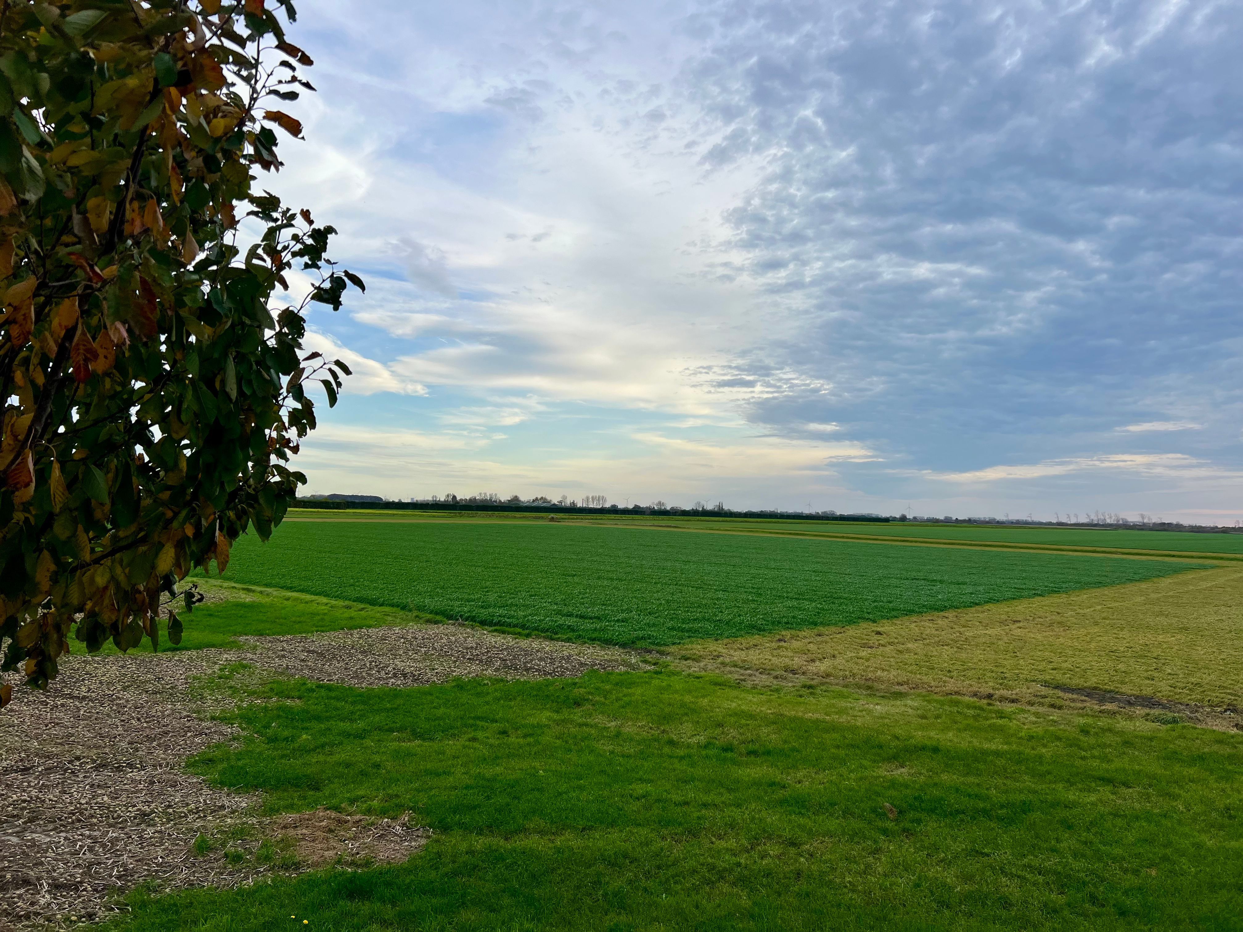 Te renoveren dijkwoning met fenomenaal zicht te Watervliet foto 3