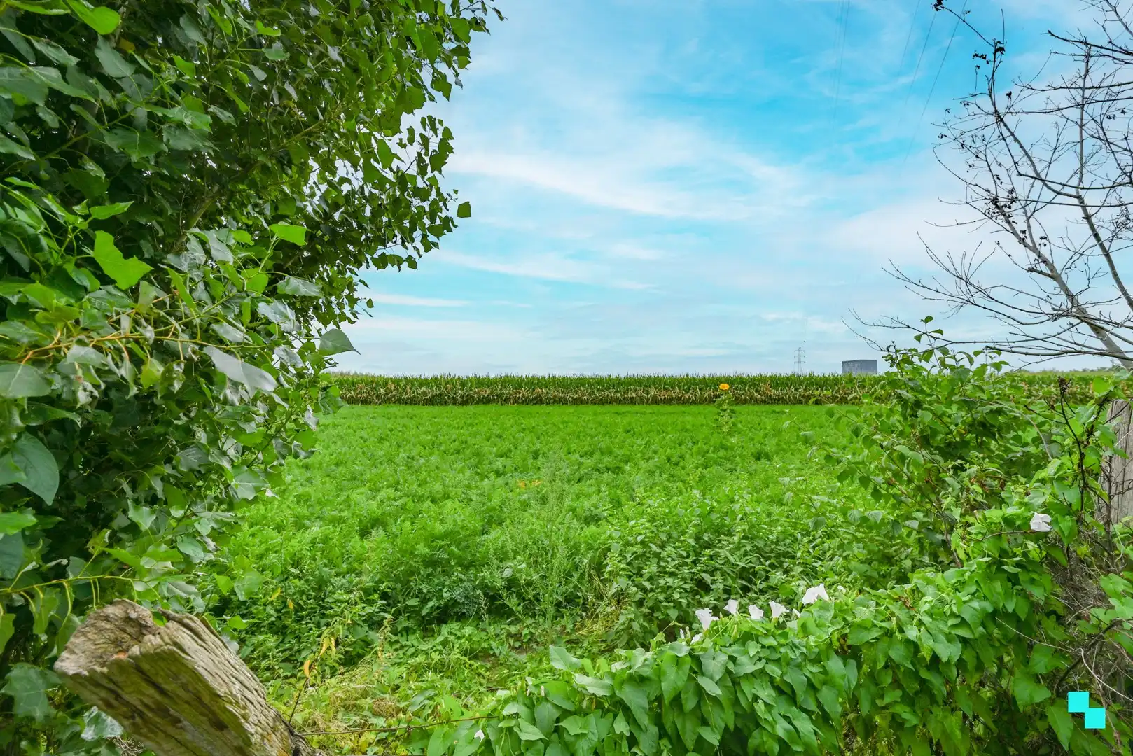 Laatste woning in doodlopende straat op de wijk De Mol foto 2