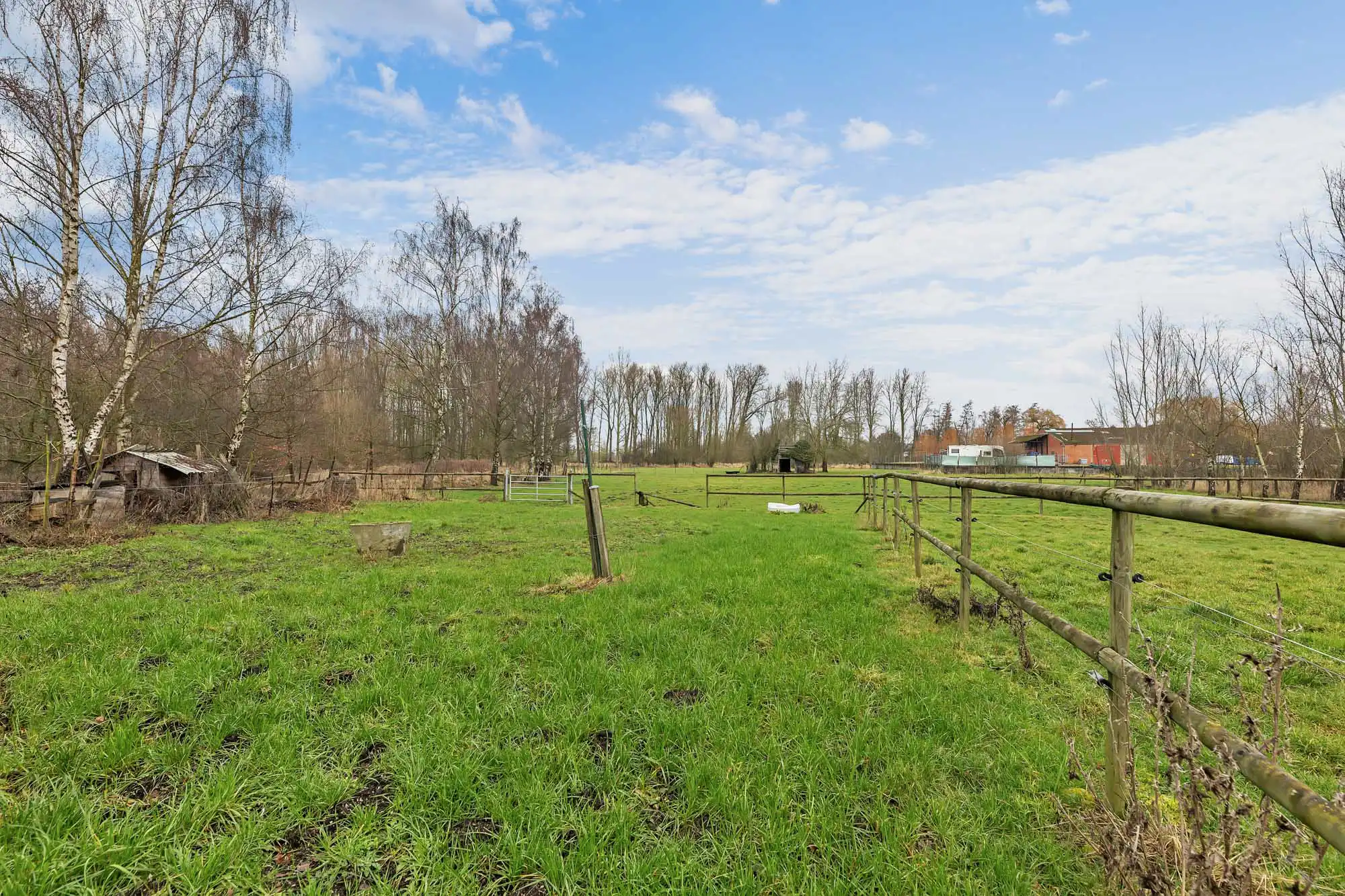 Weide met topligging op bijna 1,5ha foto 9