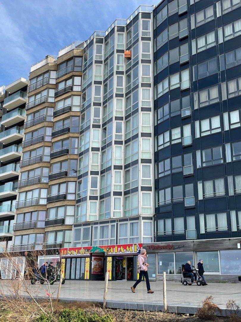 Gezellig ingerichte studio met slaaphoek met frontaal zeezicht. foto 10