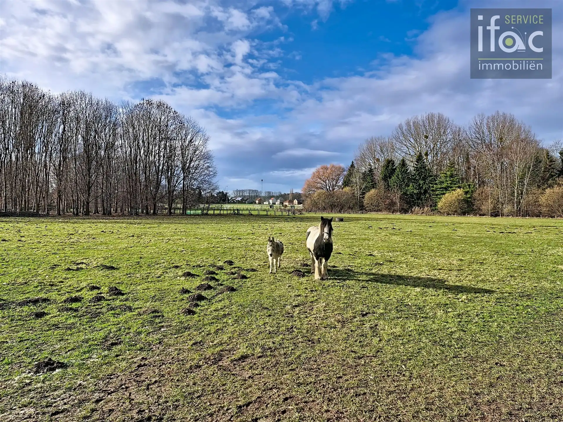 Uniek gelegen bungalow met prachtig zicht op 12a 23ca foto 7