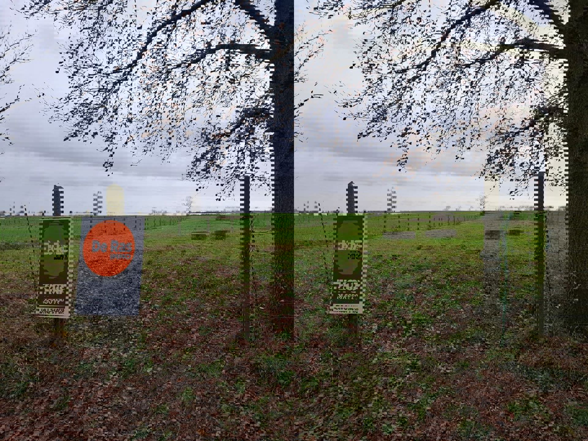 DENDERHOUTEM– Perceel weiland van 29a 50ca foto 4