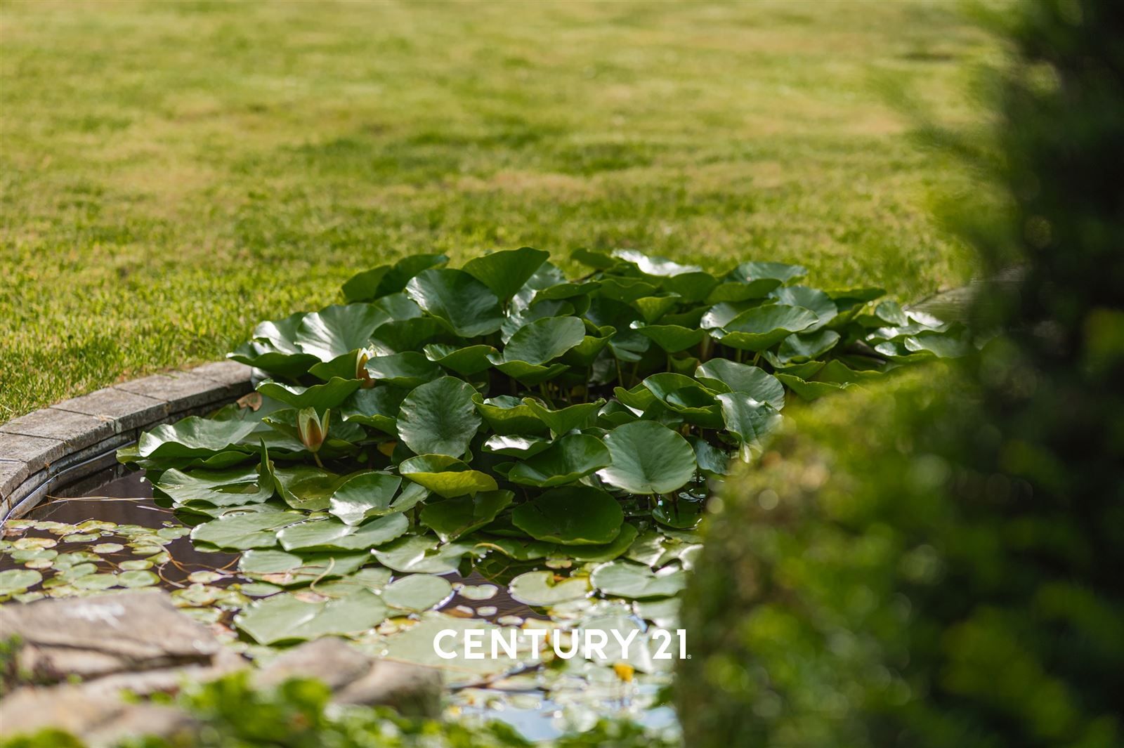 instapklare villa met zuidwest gerichte tuin en garage op 8are11 foto 14