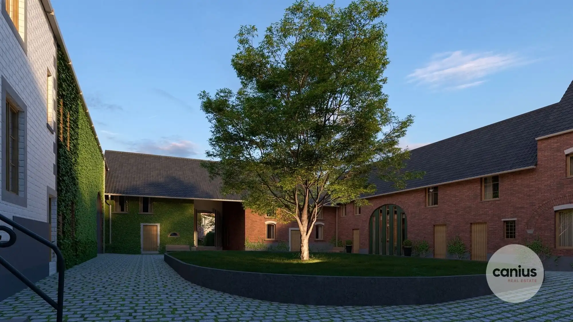 WONEN IN DE PAREL VAN HASPENGOUW foto 9