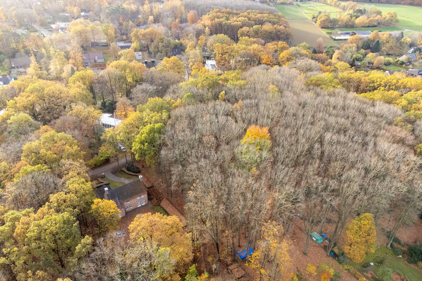 Prachtige bouwgrond van 22a 63ca te koop op een toplocatie in Hoog-Linden!  foto 8