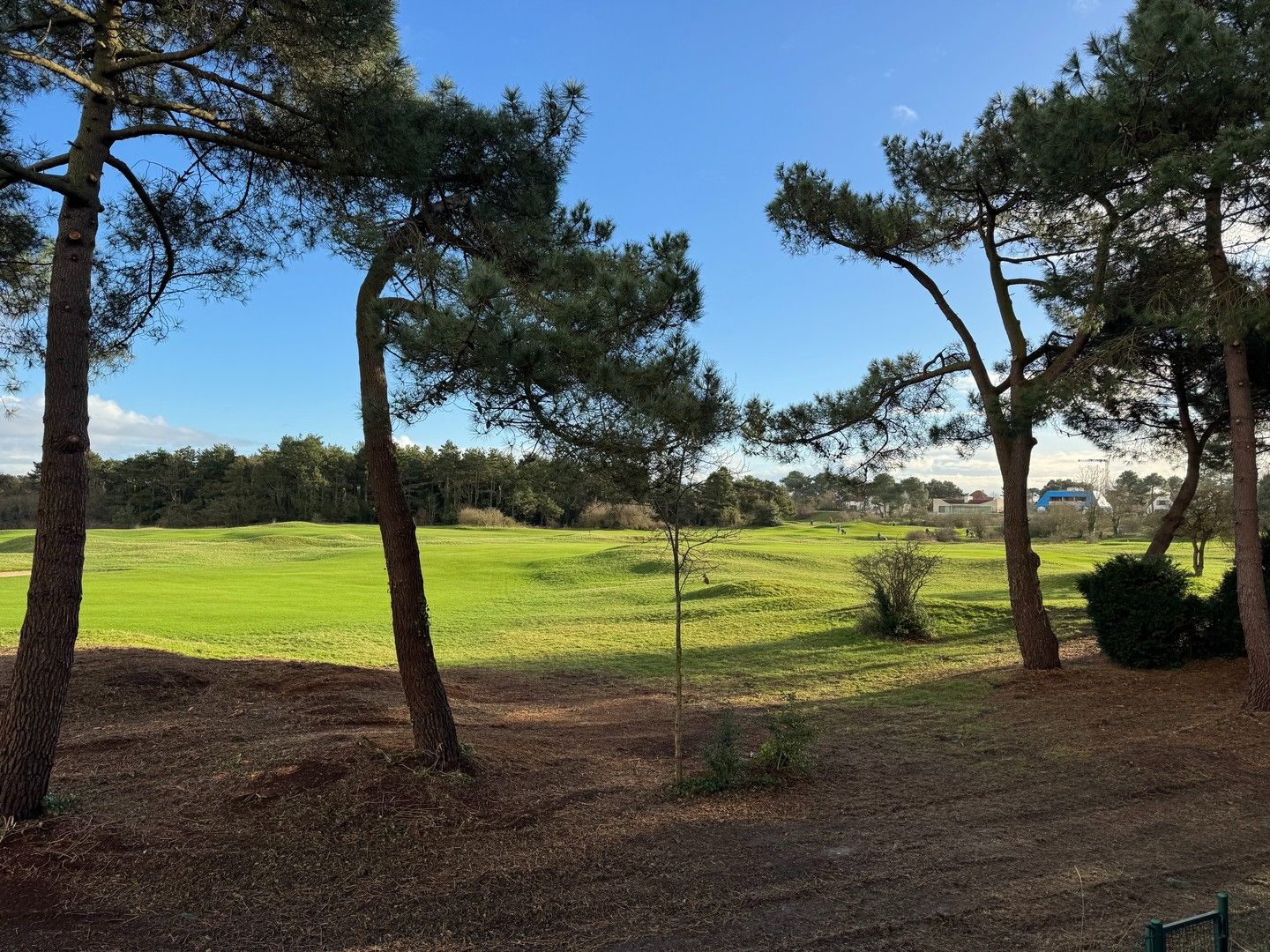 Te renoveren charmante koppelvilla gelegen in een paadje met panoramisch open zicht op de Royal Zoute Golf. foto 10