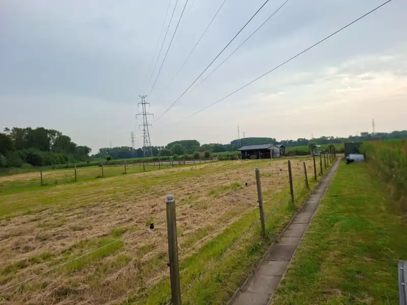 Weiland ( 6652 m² ) met paardenstallen en rijpiste te huur in de Oostendse Steenweg in Brugge foto 2