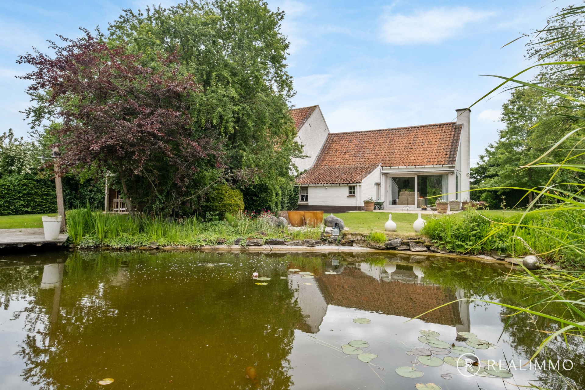 Wonen in alle rust op meer dan 1,2 hectare! foto 2