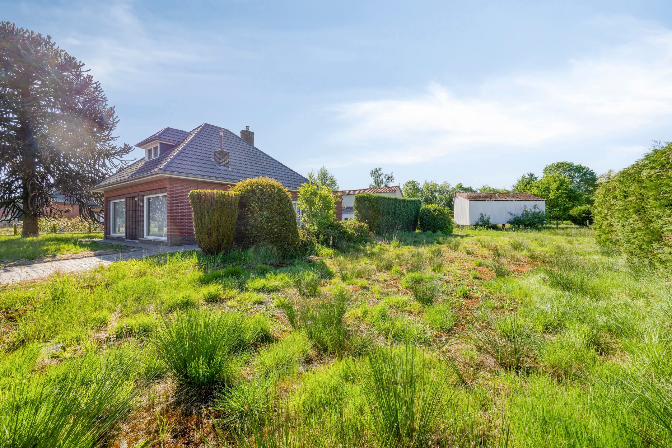 Te renoveren woning op prachtig perceel van 19a54 foto 22