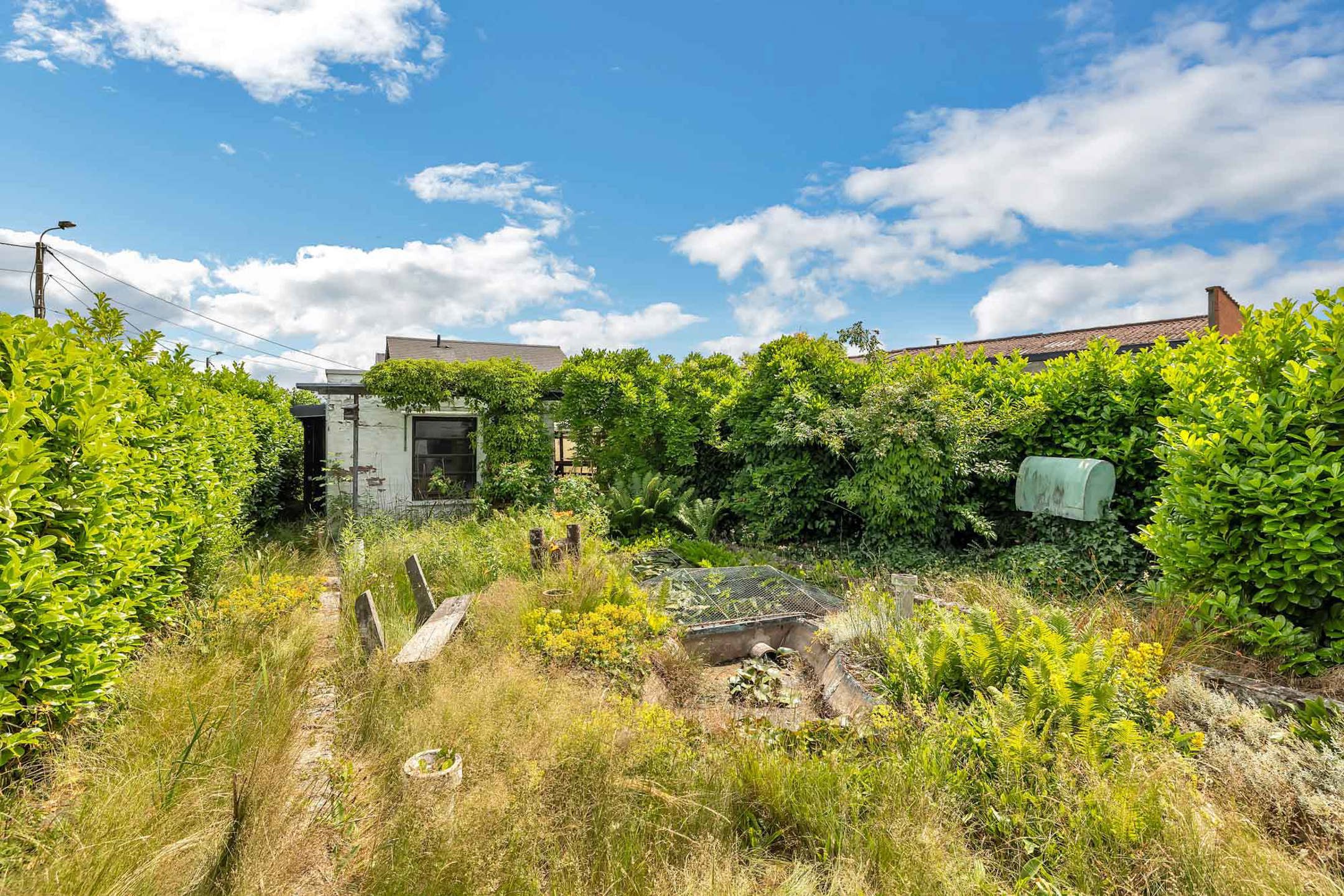 Landelijk gelegen bouwgrond te koop in Machelen (Zulte) foto 3