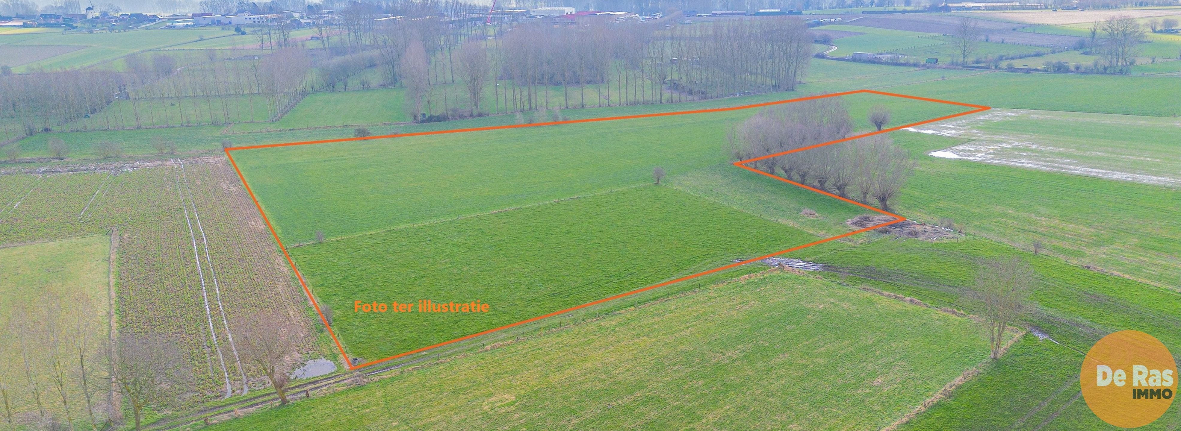 HILLEGEM – Landbouwgronden te koop foto 2