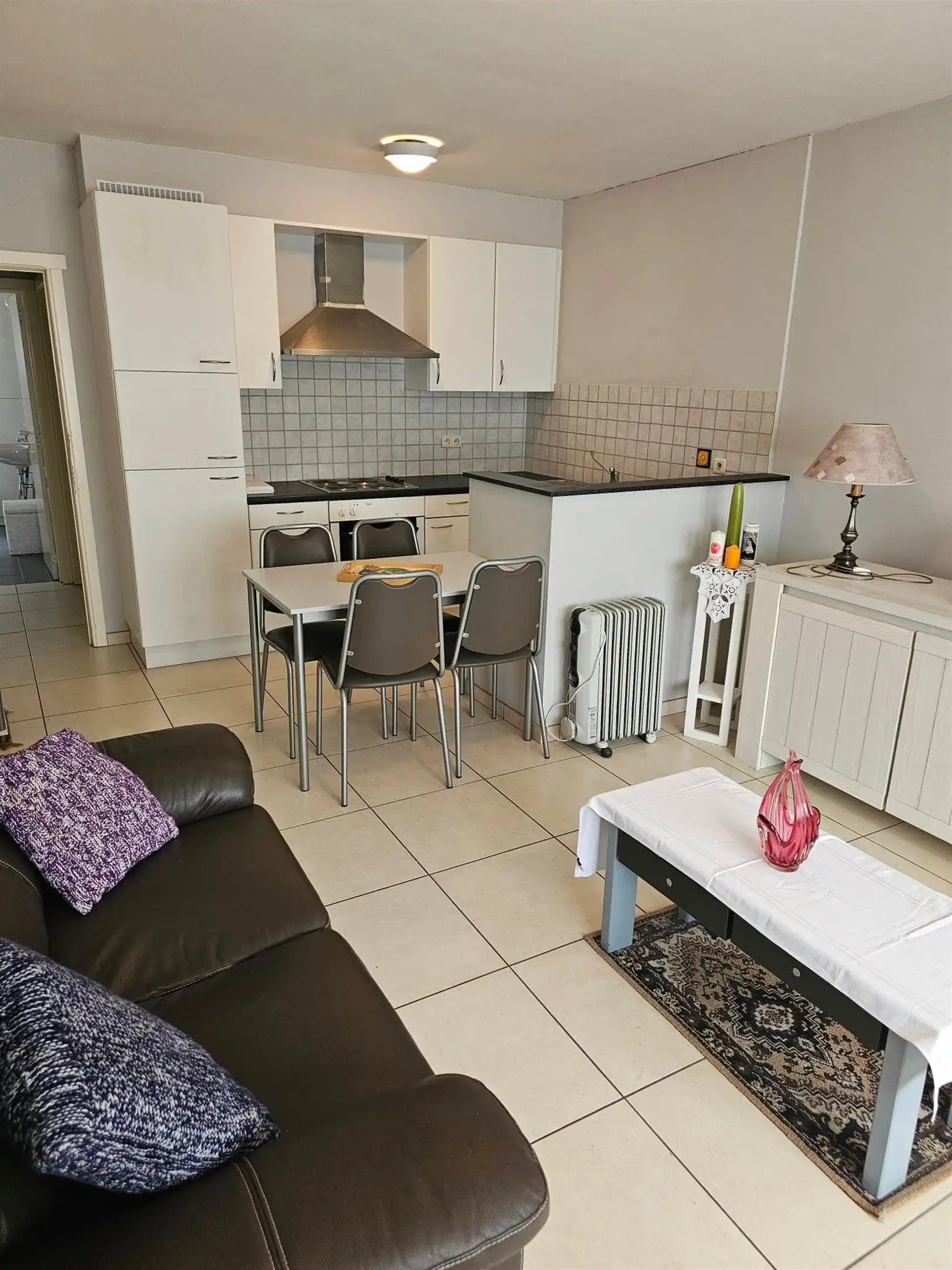 Gezellig gelijkvloers appartement met groot terras en één slaapkamer. foto 3