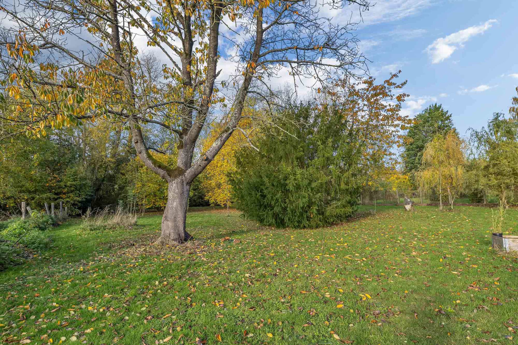 Woning met loods en 510 m² bewoonbare oppervlakte in Velzeke foto 31