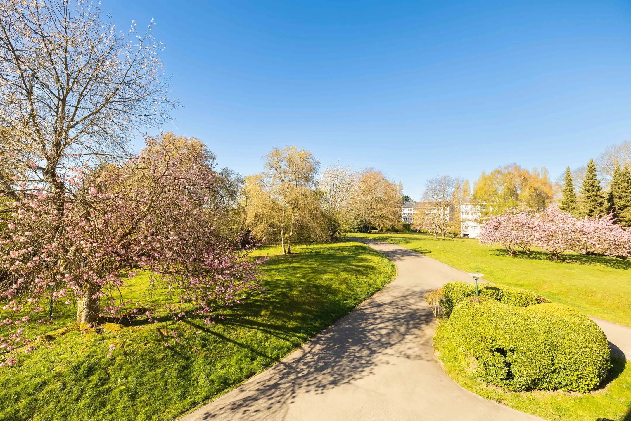 Gerenoveerd appartement met vrij uitzicht op het park foto 23