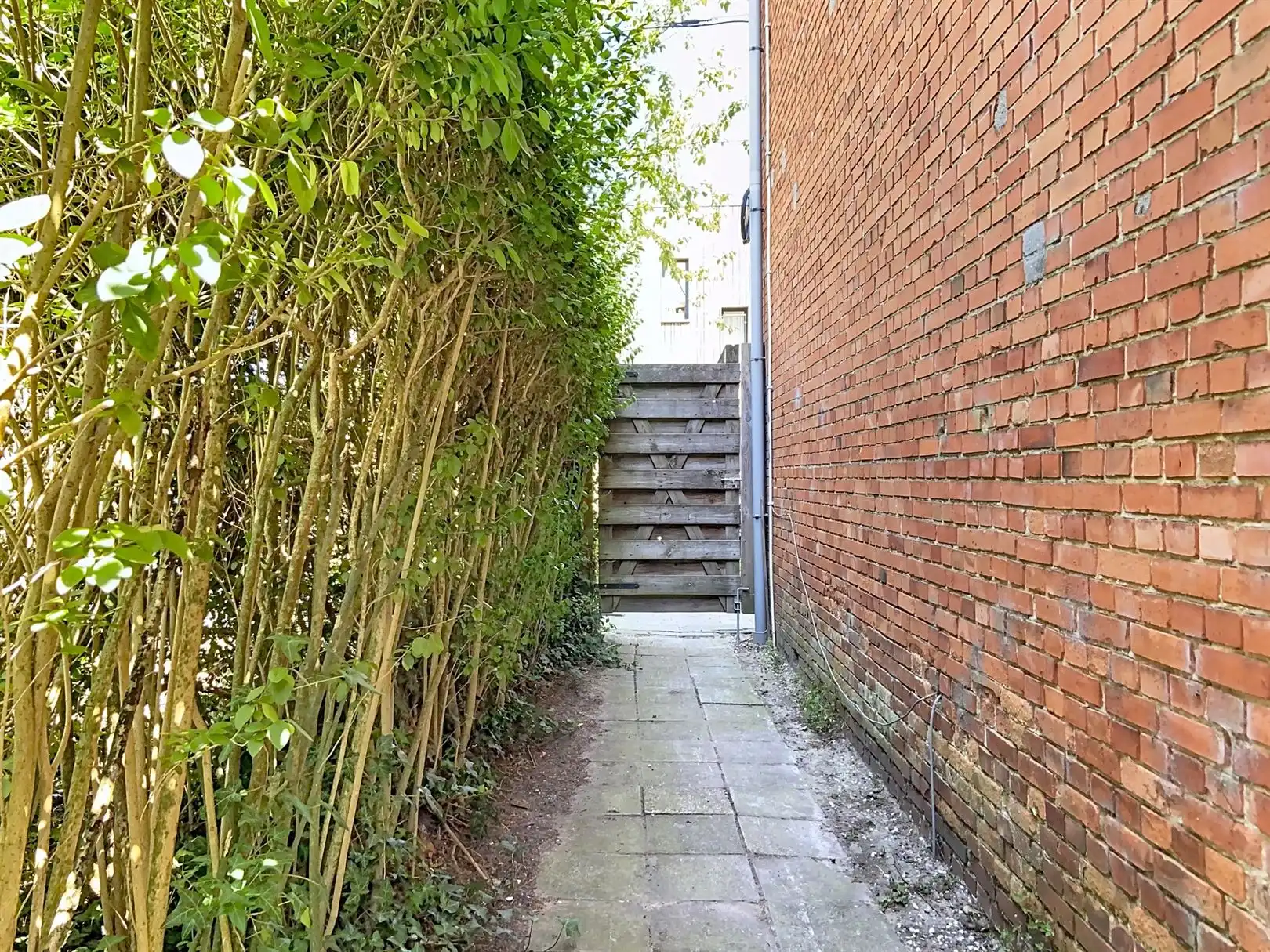 Charmant vernieuwde woning te Maria-ter-Heide foto 15