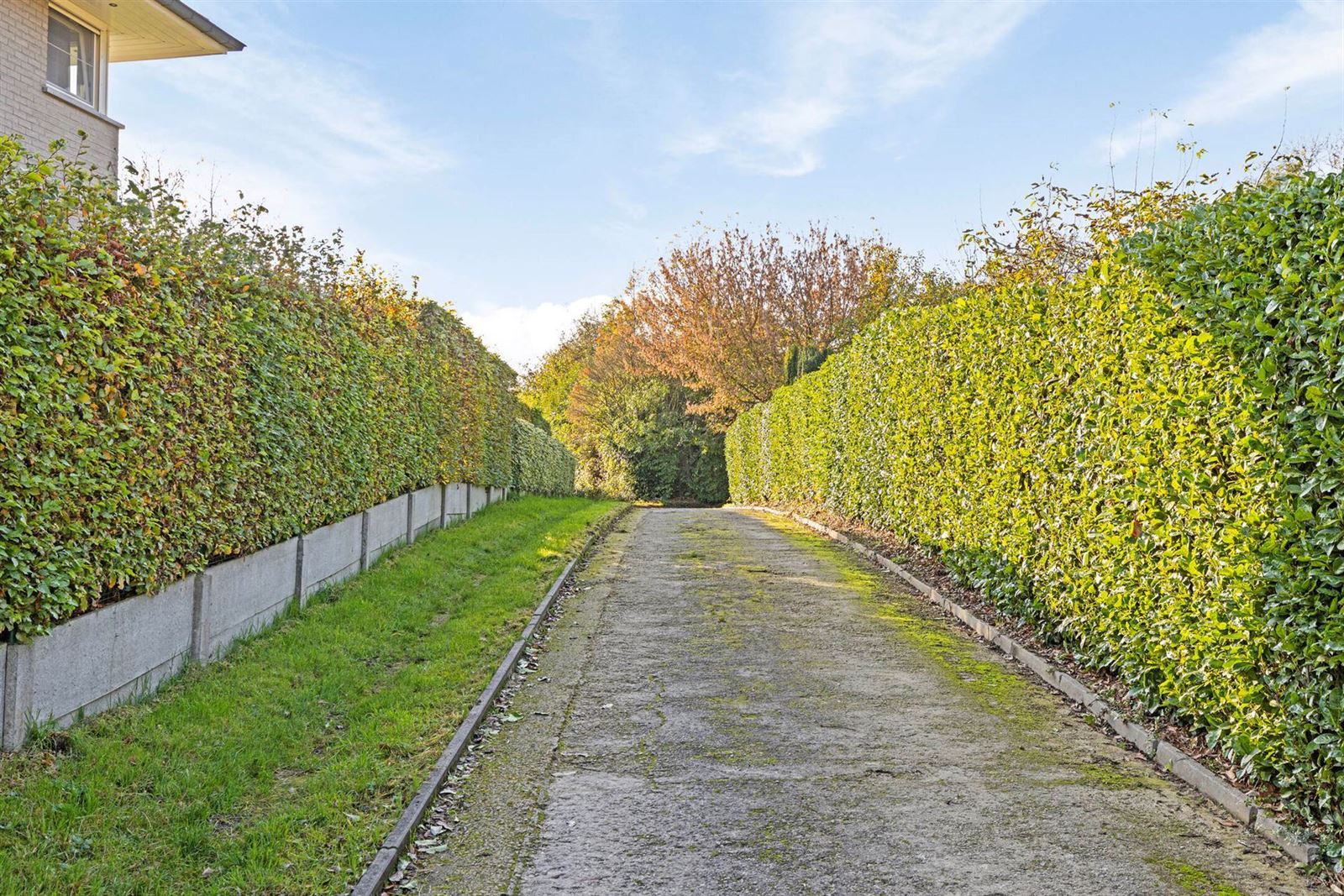 Villa met 6 slaapkamers te koop in het groen foto 2