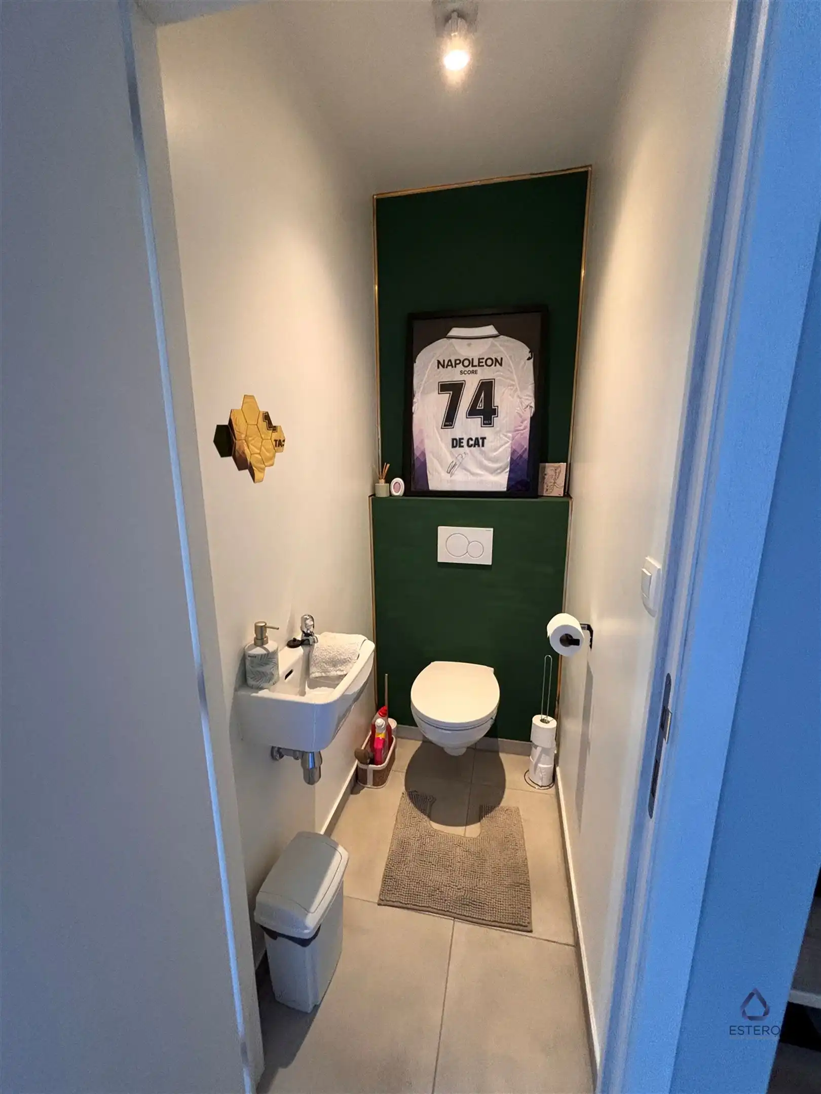 Moderne gezinswoning in een groene en rustige omgeving foto 9
