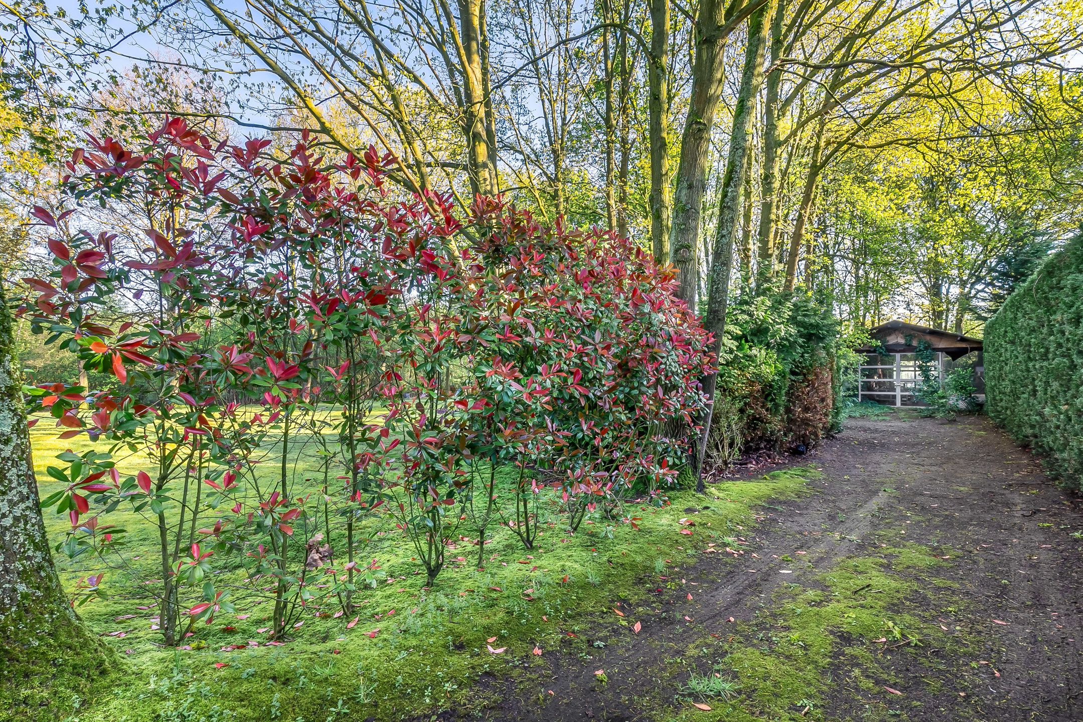 Unieke villa met prachtig uitzicht naast het park van Halle-Zoersel foto 20