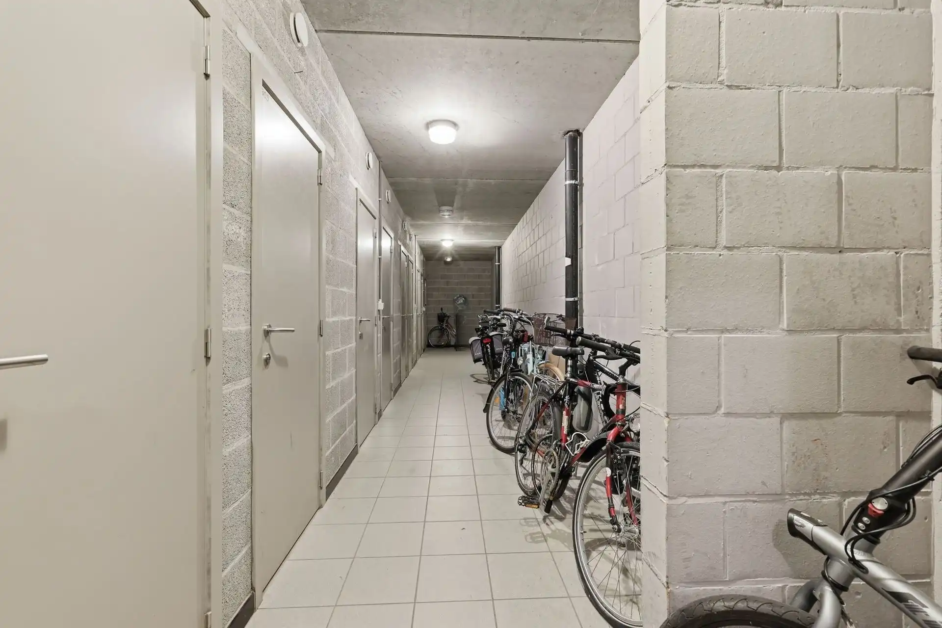 STUDIO / RUGZIJDE ZEEDIJK foto 15