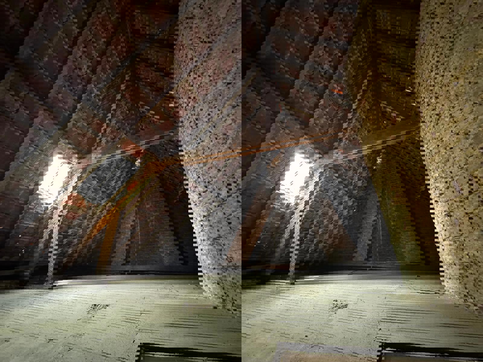 Te renoveren handelshuis met grote etalage centrum Roeselare foto 7