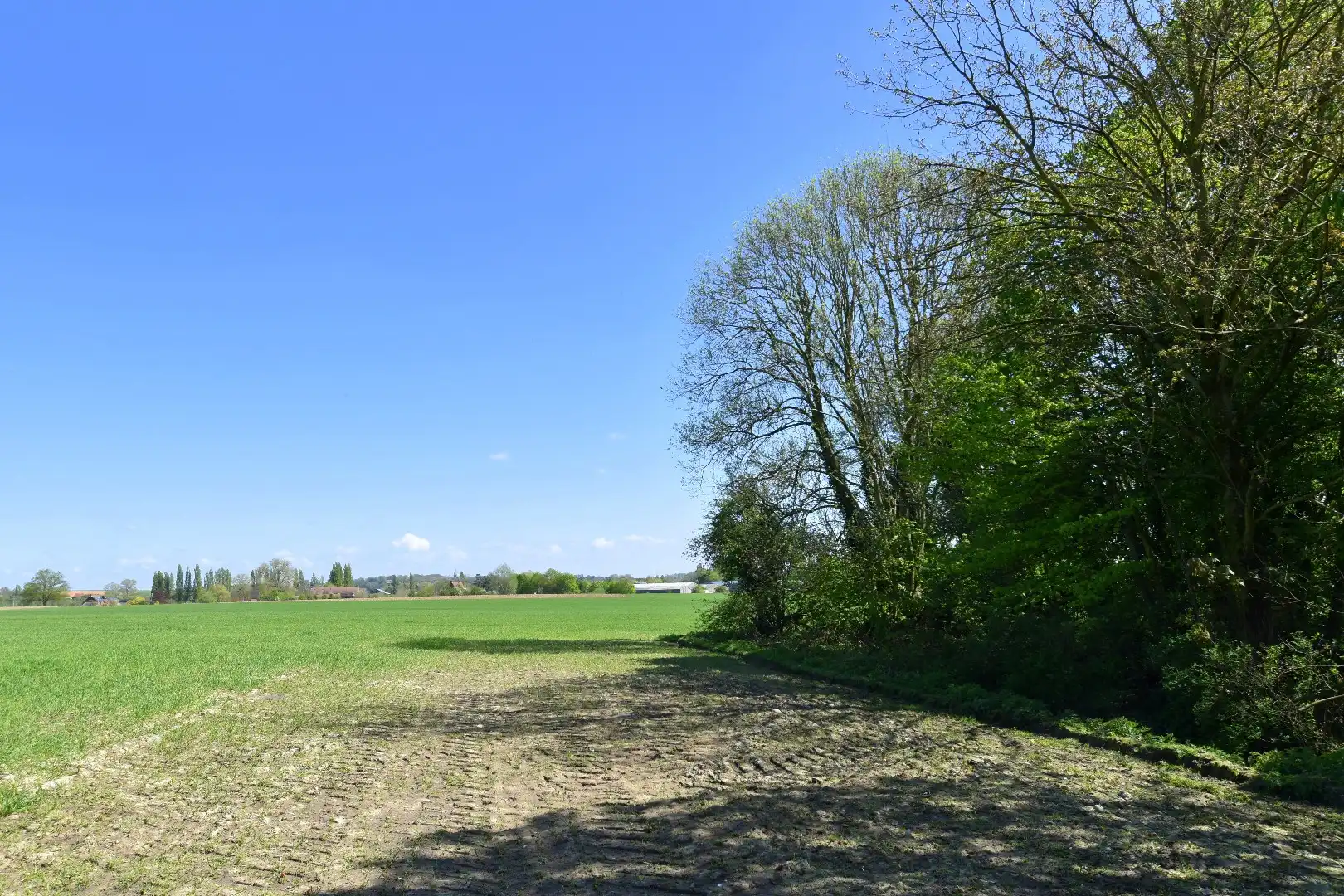 Charmant gelegen eigendom op een perceel van 2.390 m² te koop in het landelijke Rollegem foto 6