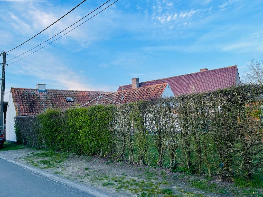 Sint-Rita Moerkerke Idyllische hoevetje op 295 m2 grond, volledig omheind, 3 slaapkamers foto 22