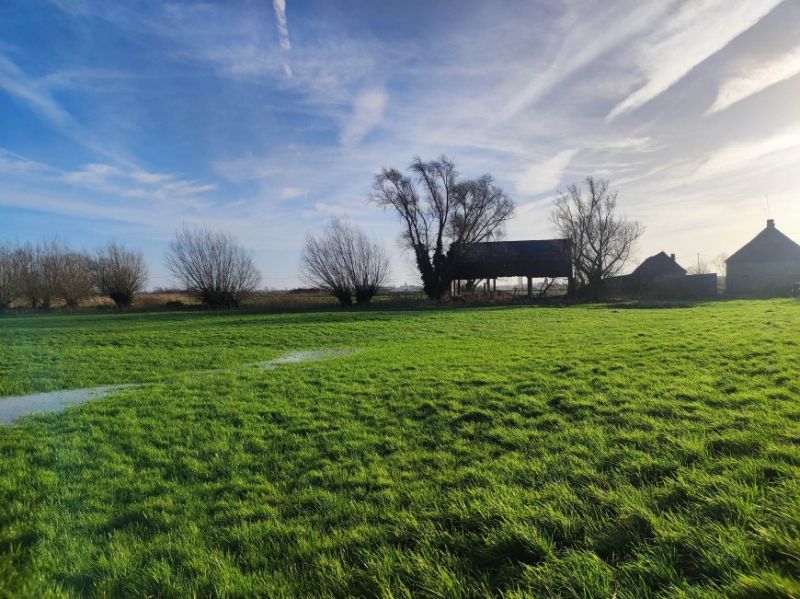 Hoeve met bijgebouwen foto 11