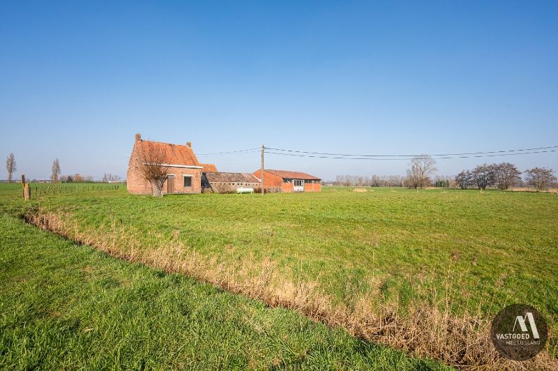 UNIEK gelegen hoeve op 7.290m² in Maldegem foto 9