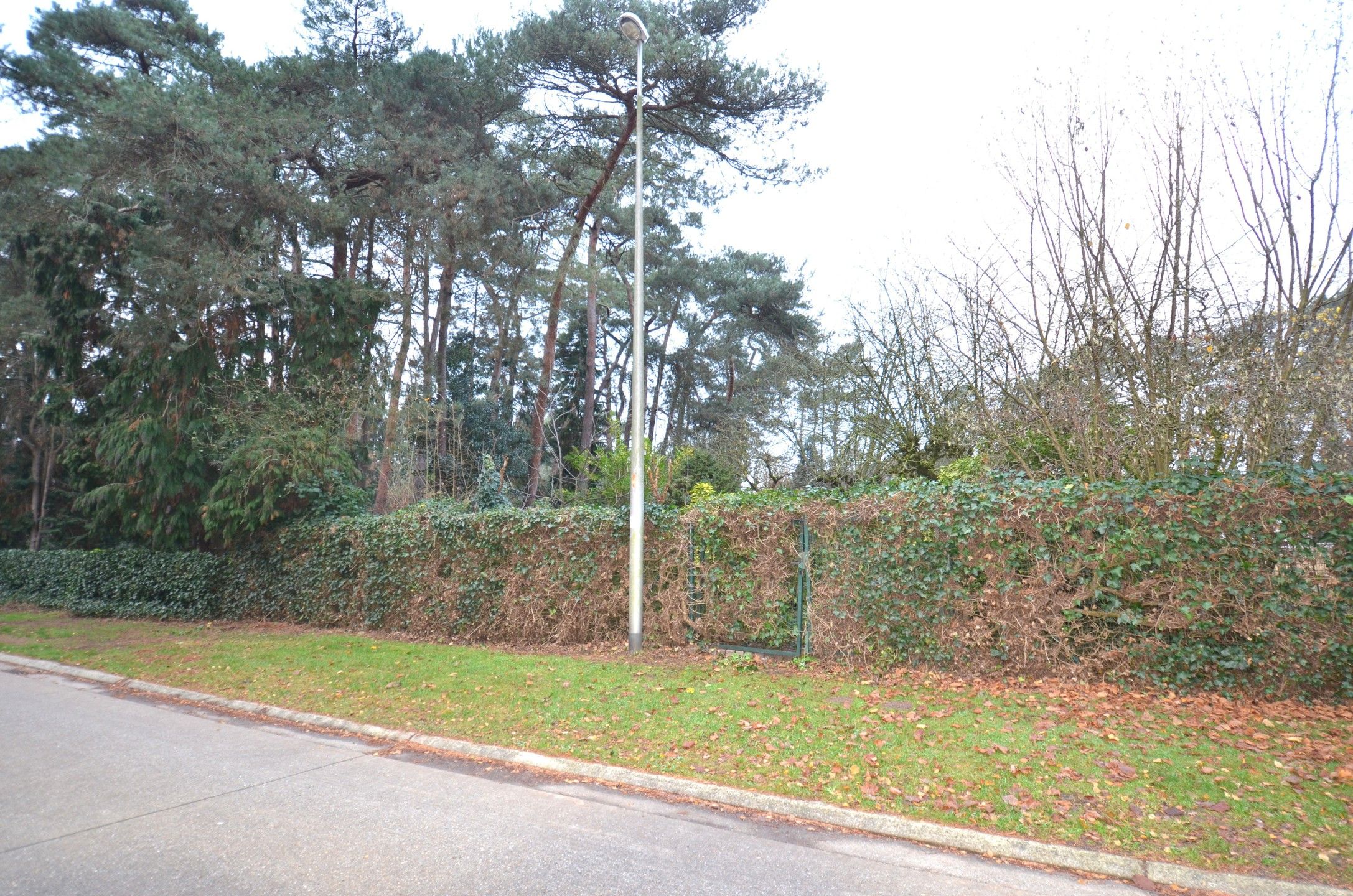 Bouwgrond voor een OB foto 3