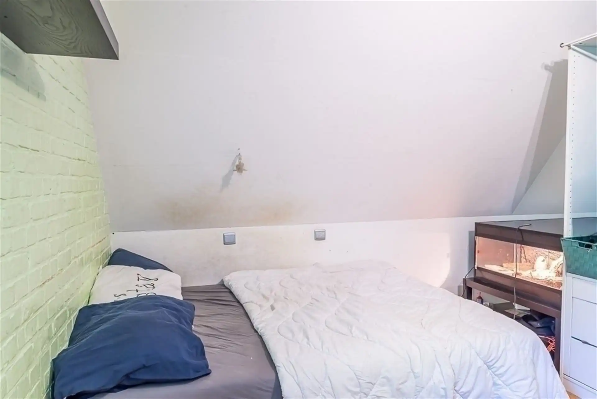 Karakteristiek handelshuis met ruime bovenwoning op toplocatie nabij Maasmechelen foto 42