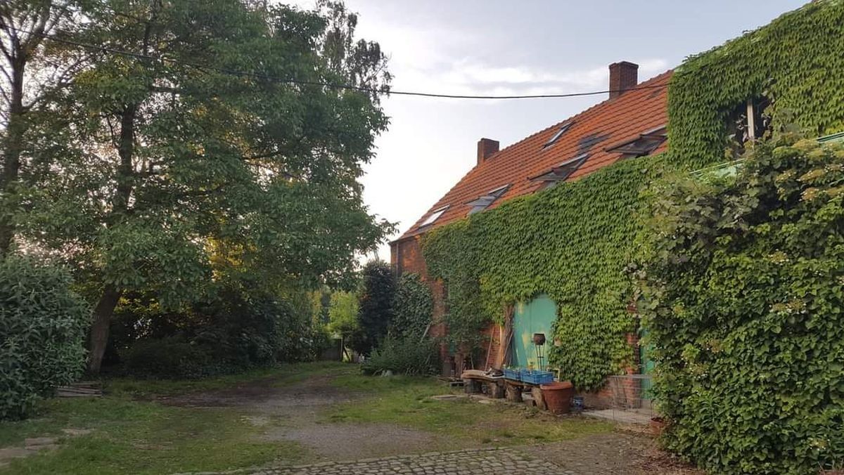 In dorpskern gelegen hoeve te koop te Hoevenen (Stabroek) foto 4