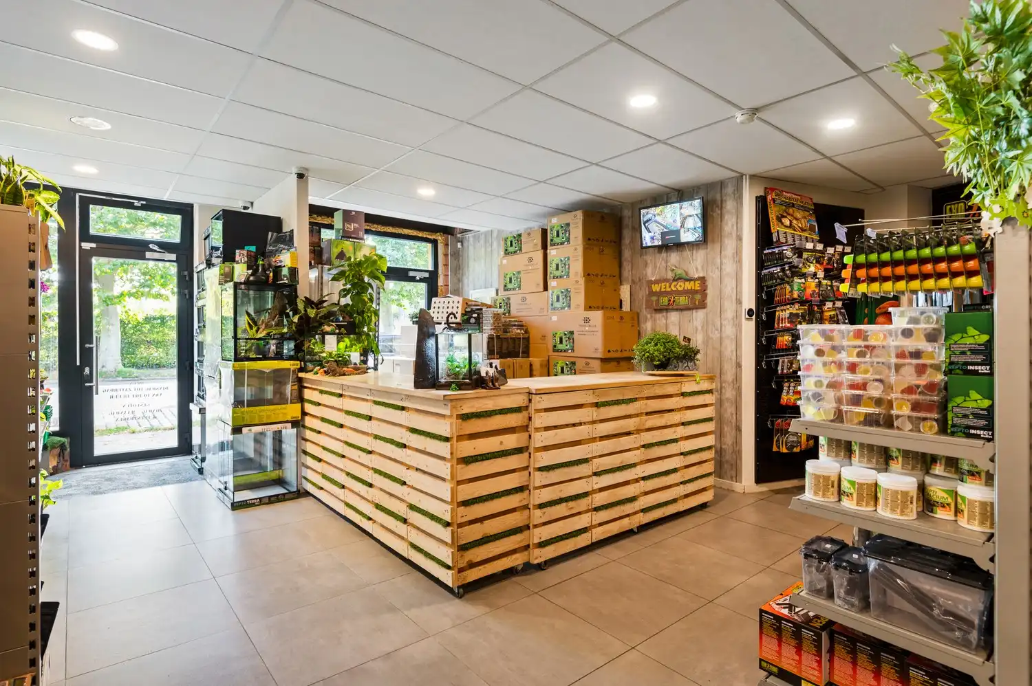 Ruim handelsgelijkvloers (208 m²) met brede etalage en buitenruimte (72 m²) in Kontich foto 4