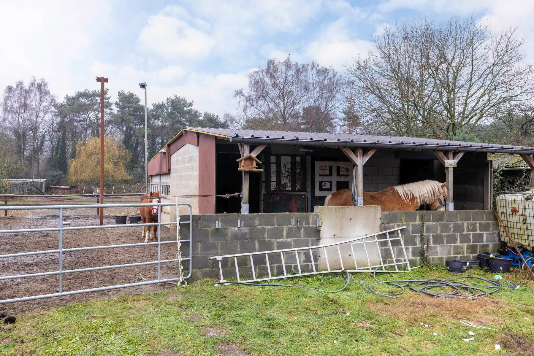 Ruime gezinswoning met 4 slpks op een perceel van ca. 800 m² foto 30
