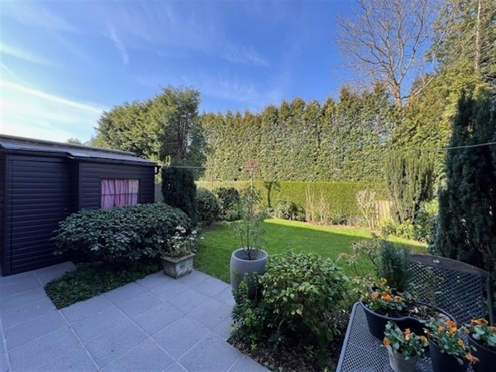 Charmante 3-SLK woning met tuin in hartje Boom foto 18