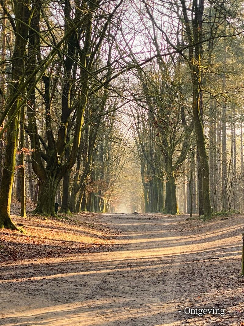 TE KOOP – Uniek stuk bouwgrond in de bossen van Lembeke – >15.000 m² foto 13
