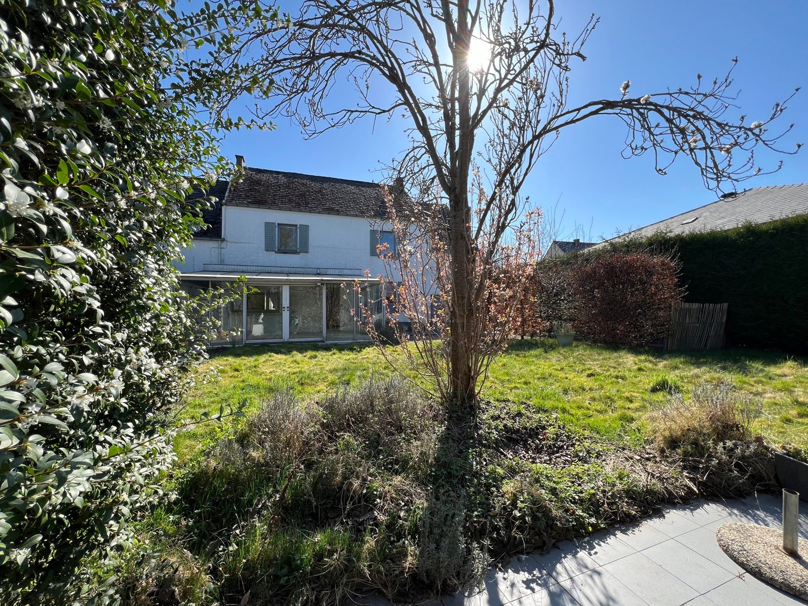 Zeer ruime woning met grote tuin en vrij zicht. foto 3