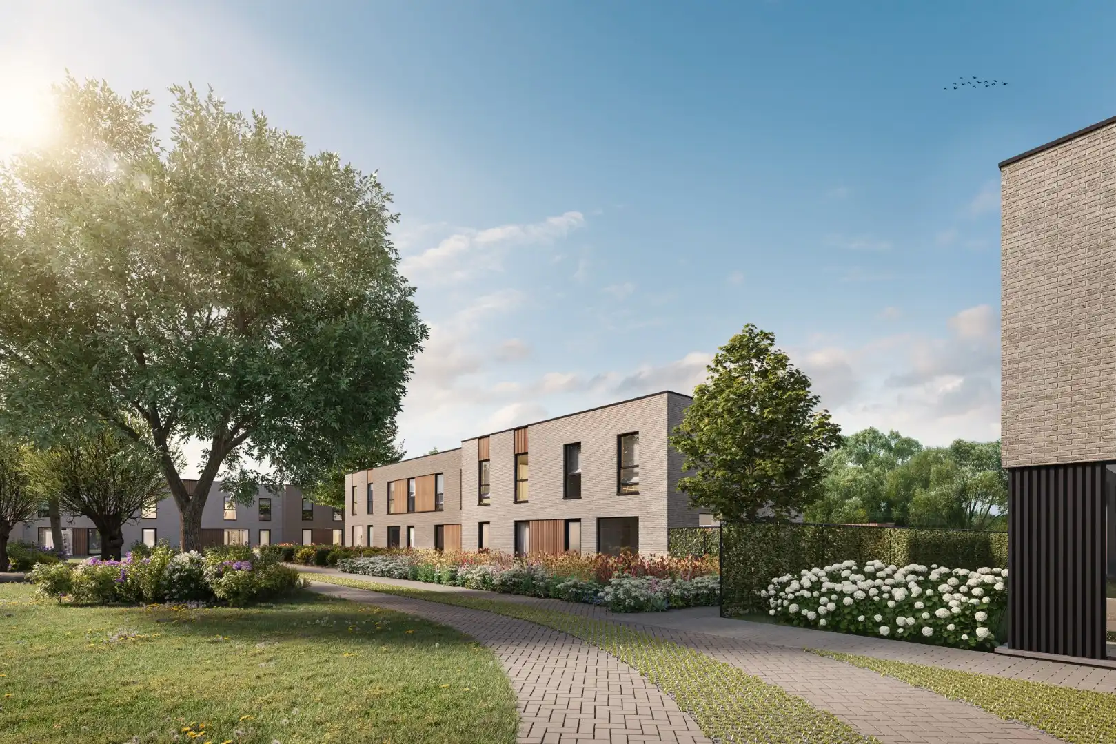 Super toffe woningen in rustige buurt foto 3