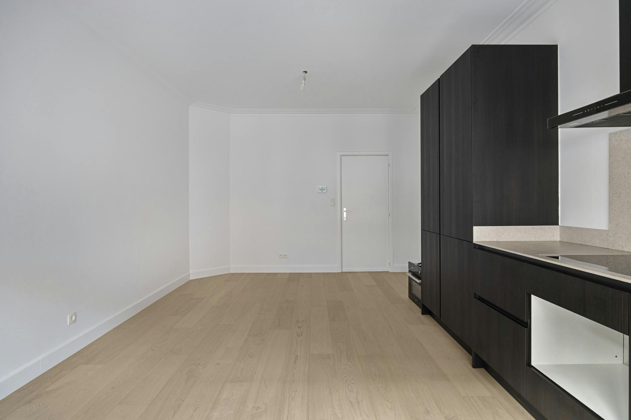 Gerenoveerd gelijkvloers appartement met twee slaapkamers foto 3