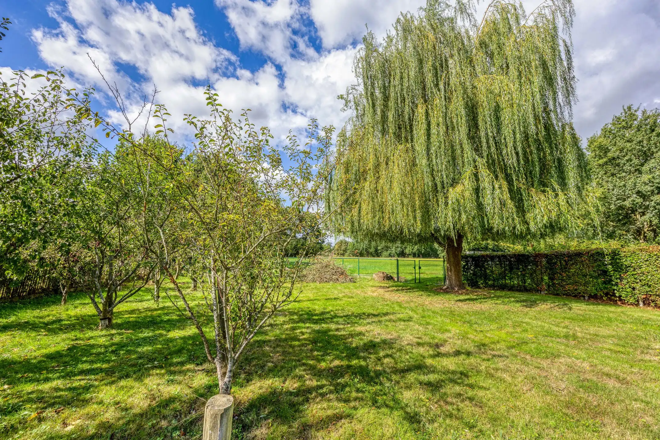 Ruime villa met prachtig groen verzicht foto 13