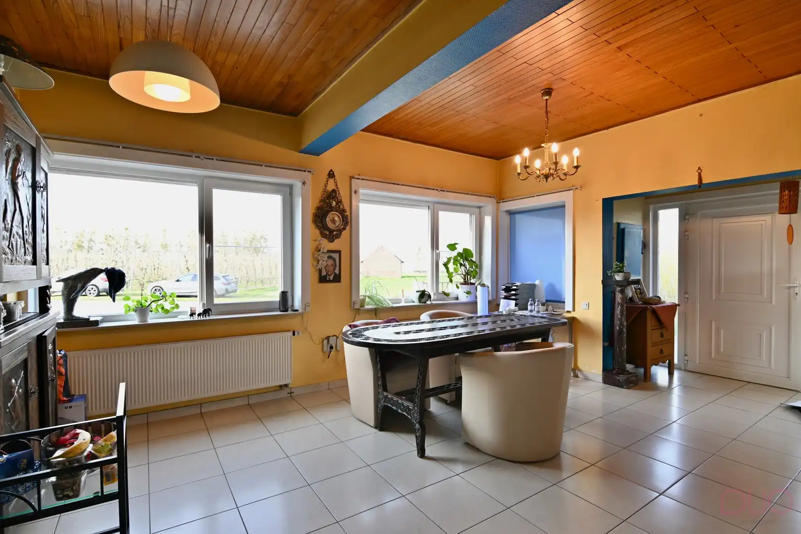 Gelijkvloerse woning gelegen in het midden van de Haspengouwse velden foto 6